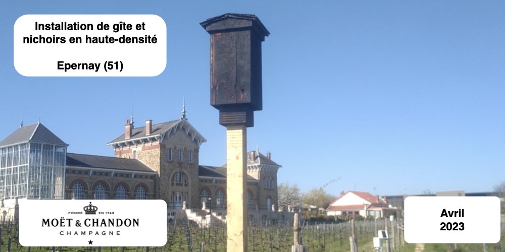 Installation nichoirs et gîtes chauves-souris oiseuax en haute densité viticulture Moët et Chandon